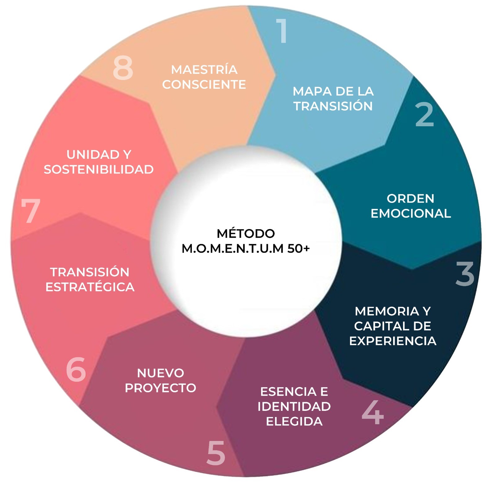 Metodo Momentum 50 mas